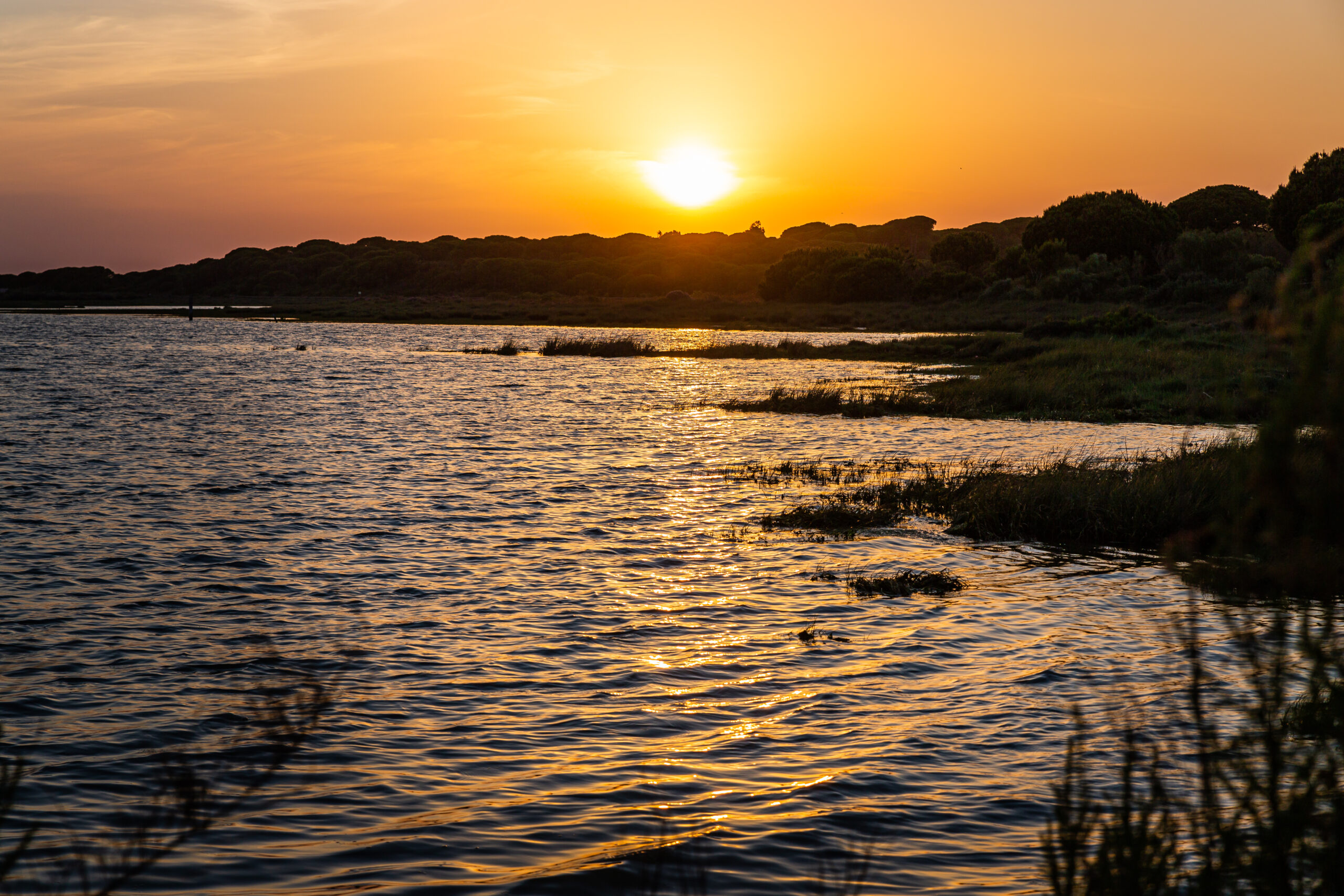 Naturaleza ElRompido Panorámico98