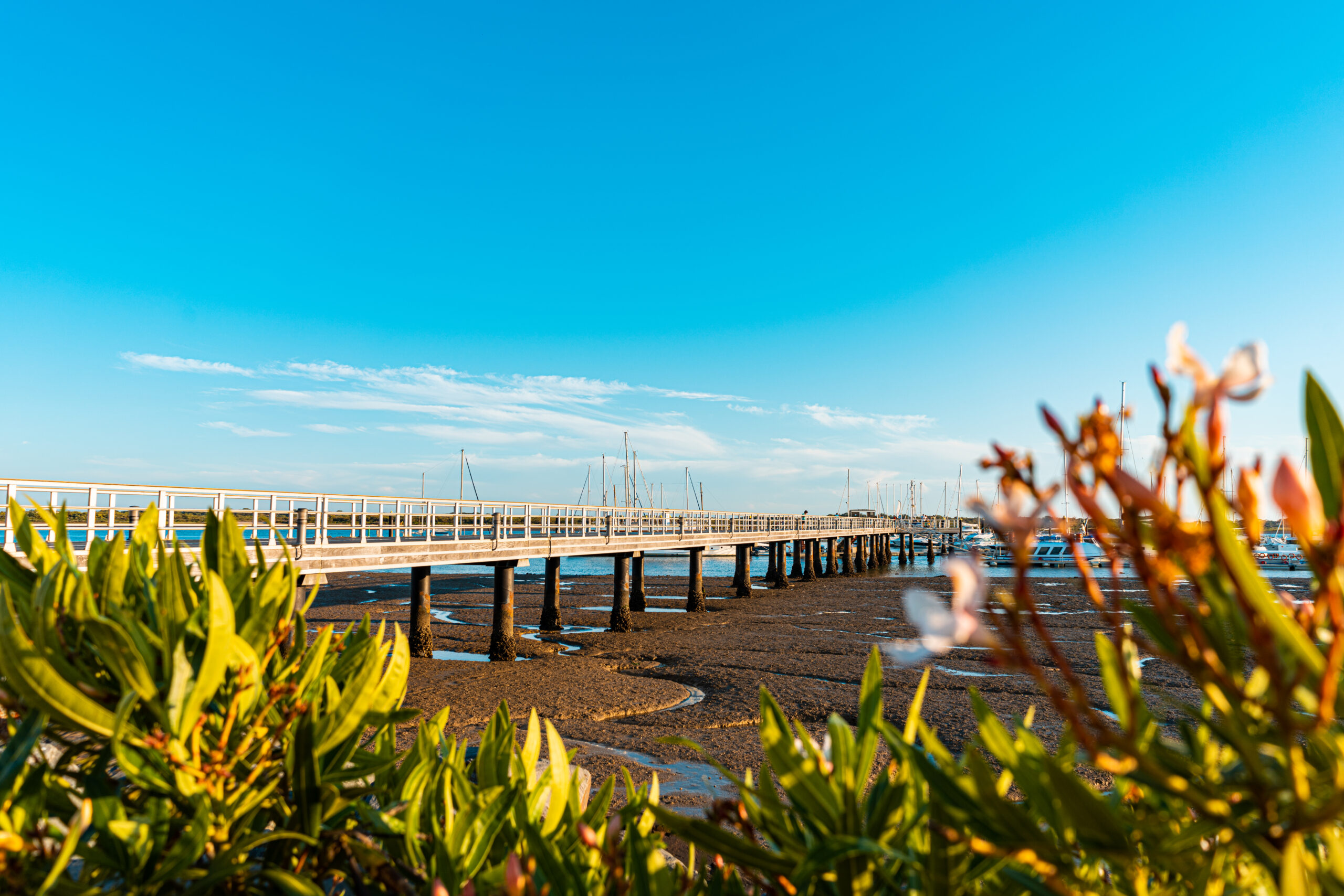 Naturaleza ElRompido2