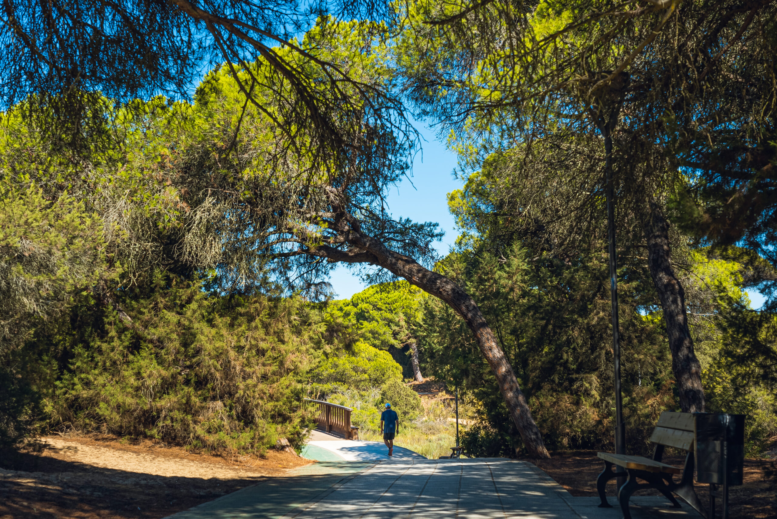 Sendero Caño Culata